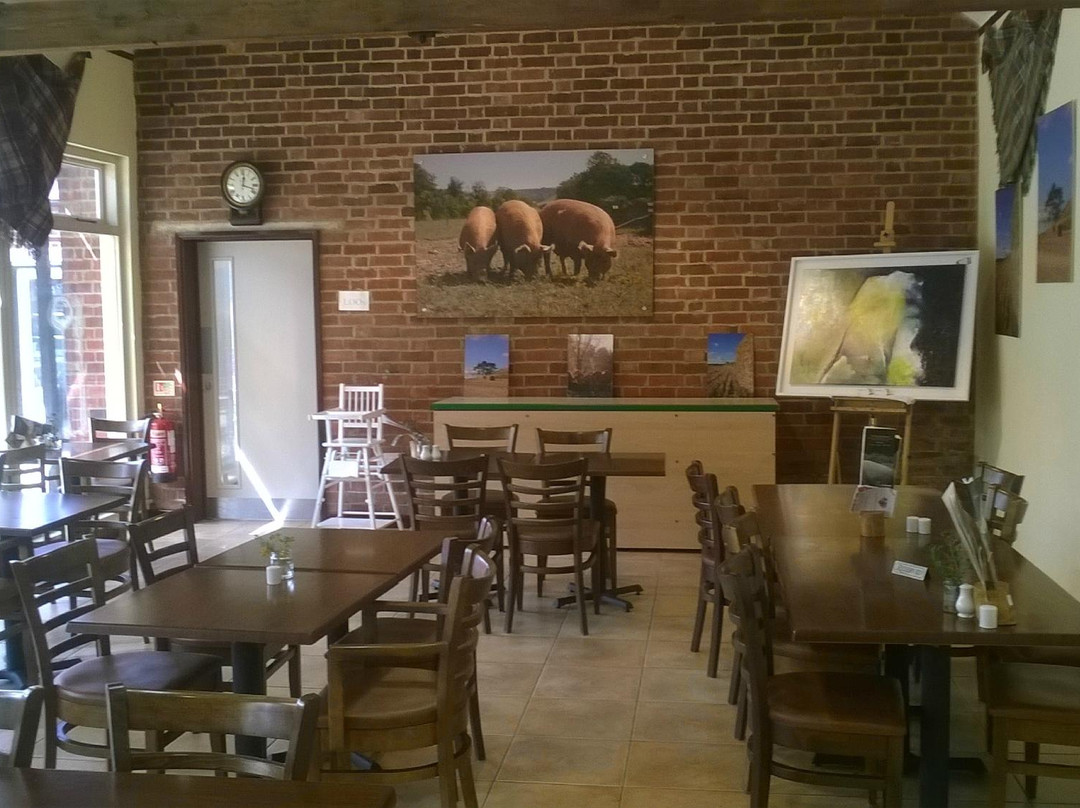 The Ginger Piggery-沃敏斯特必去景点