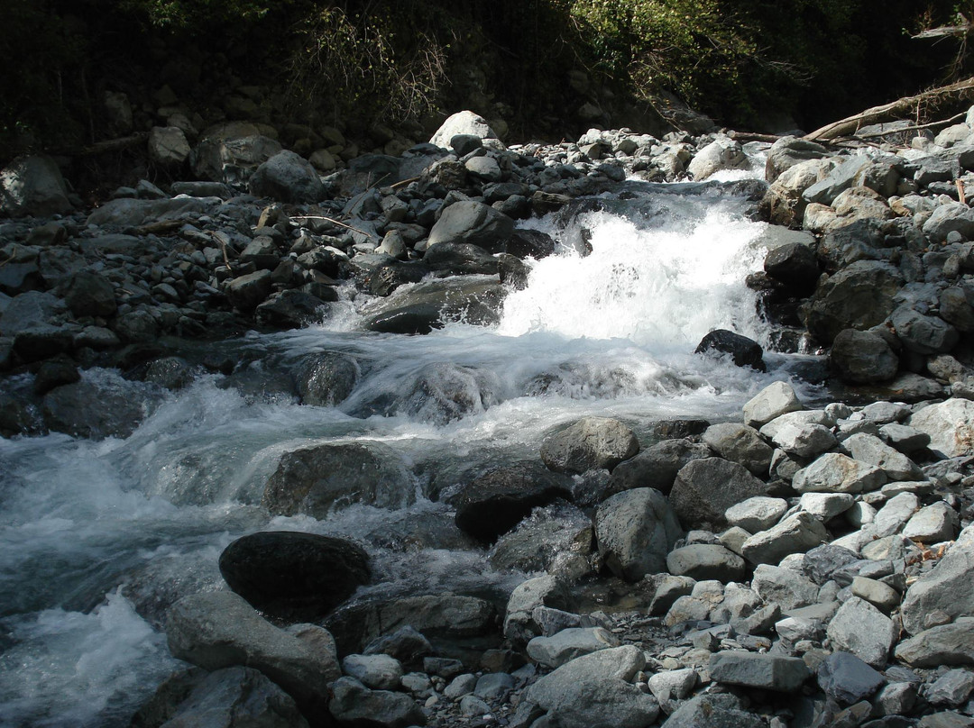 Lagodekhi National Reserve-Lagodekhi必去景点