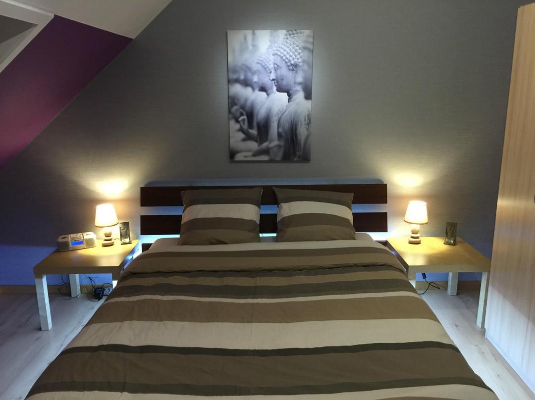 B&B Kookhai