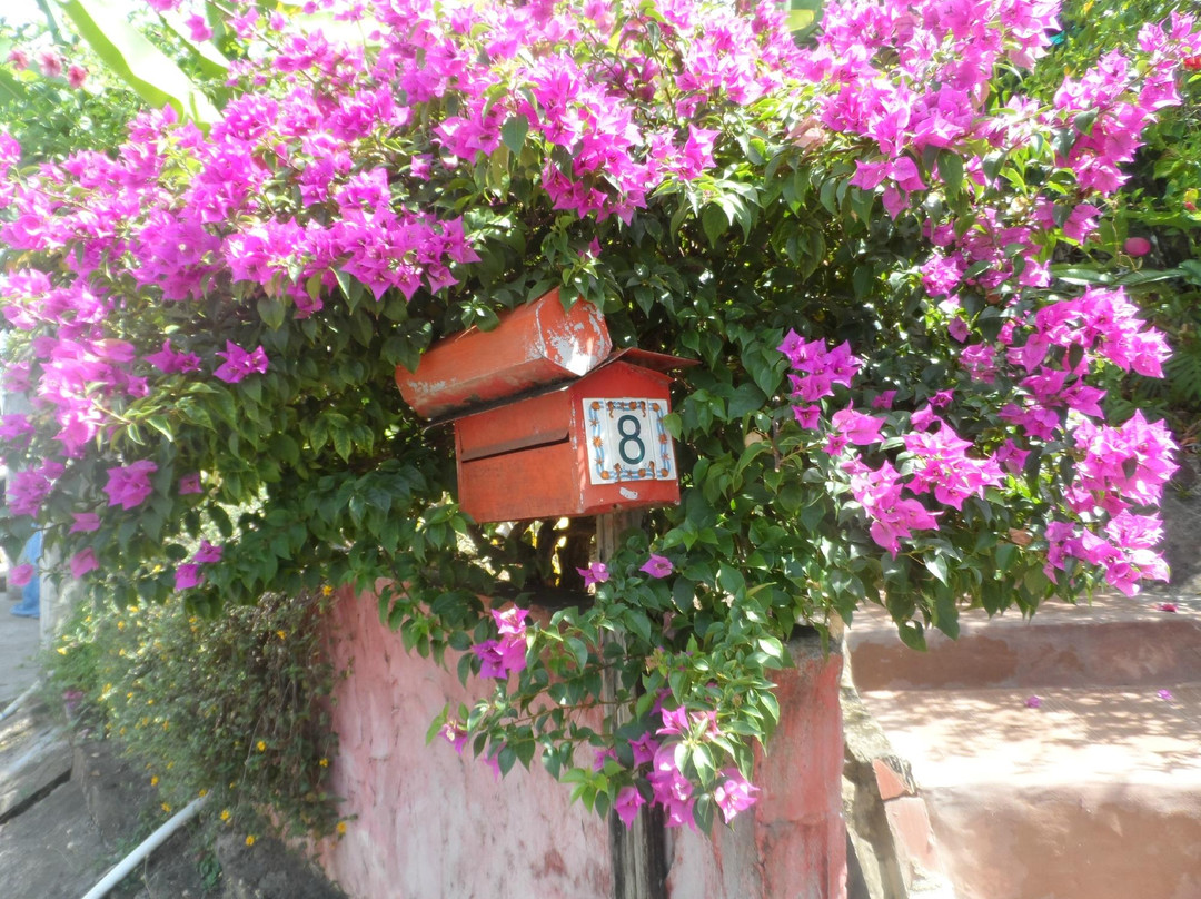 Salsa Cottage Tree House