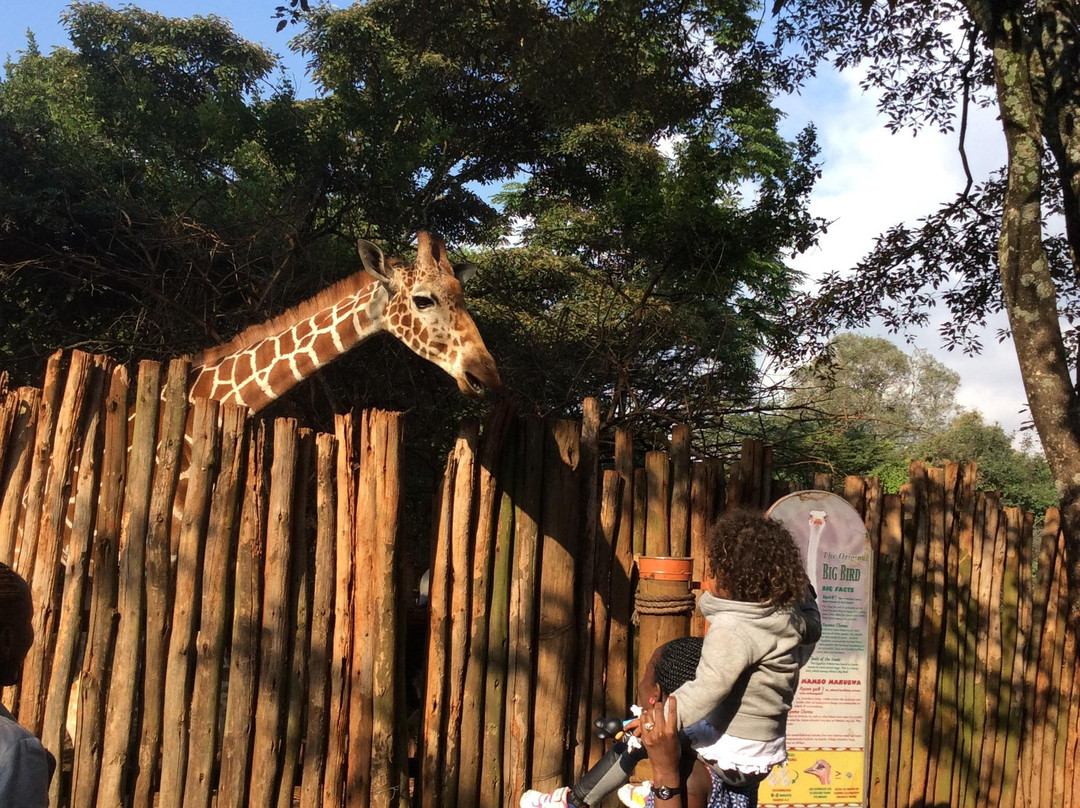 内罗毕国家公园-内罗毕必去景点