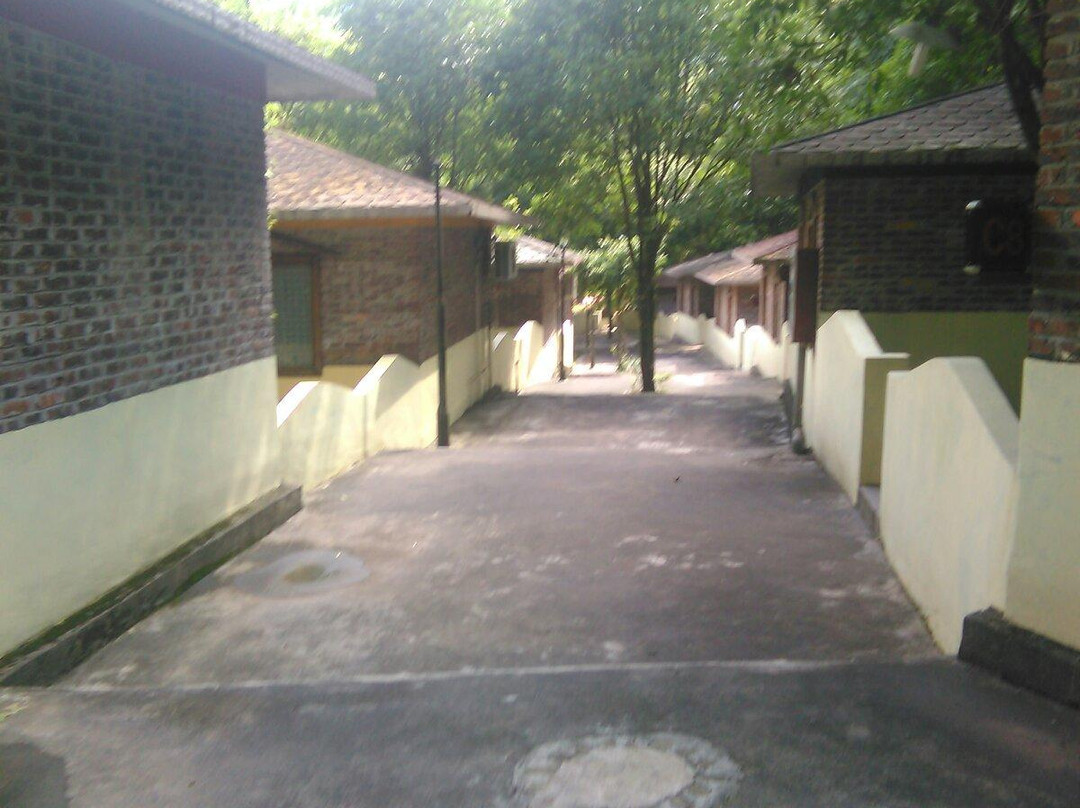 龙岩东肖森林公园景点图片