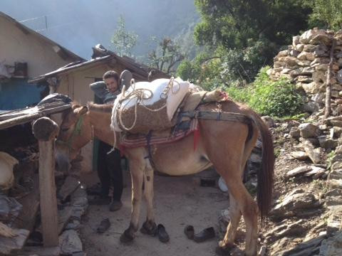 Kumharla Yuva Mandal NGO - Day Tours景点图片