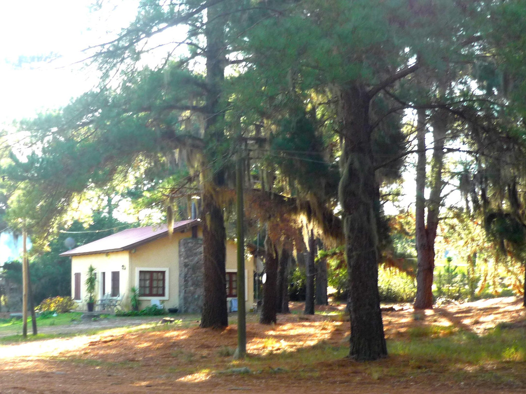 Balneario Zagarzazu-Carmelo必去景点