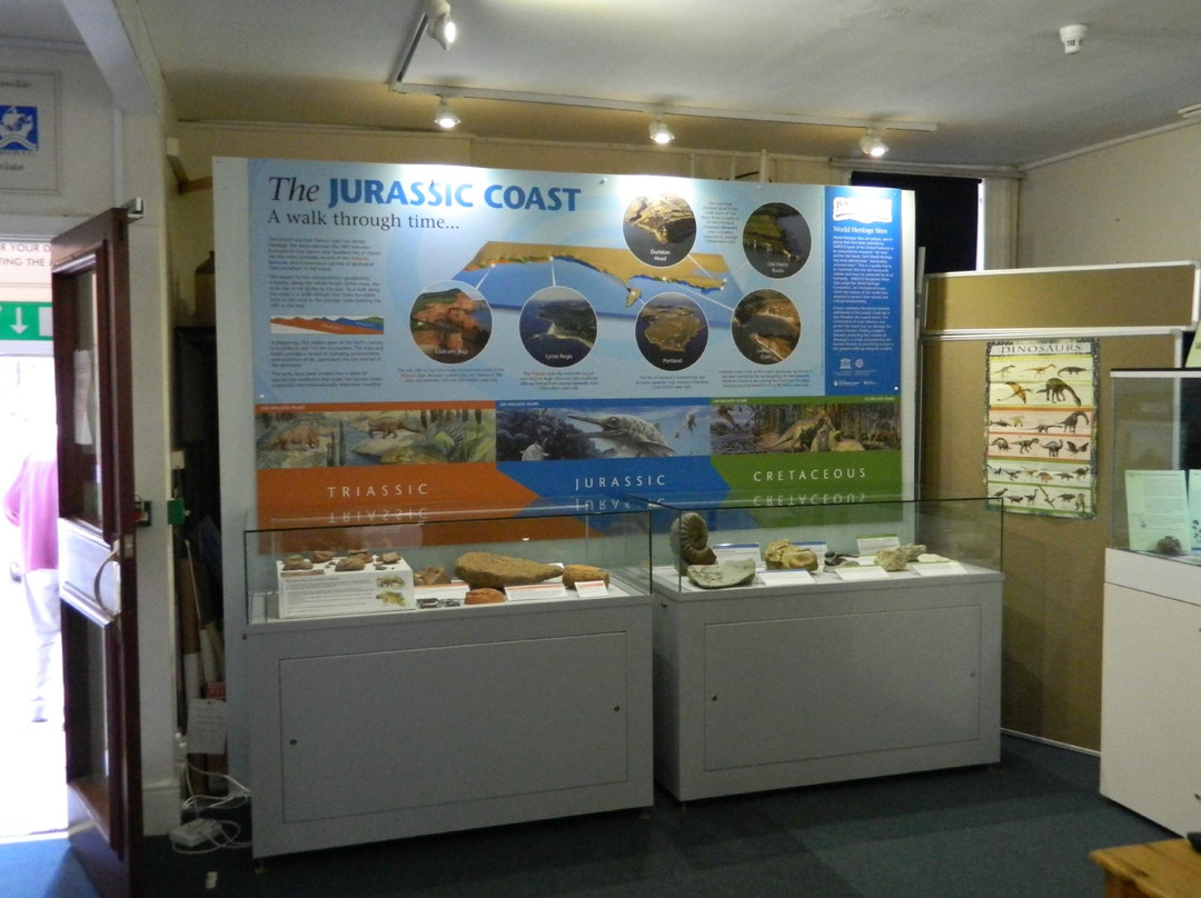 Sidmouth Museum-西德茅斯必去景点