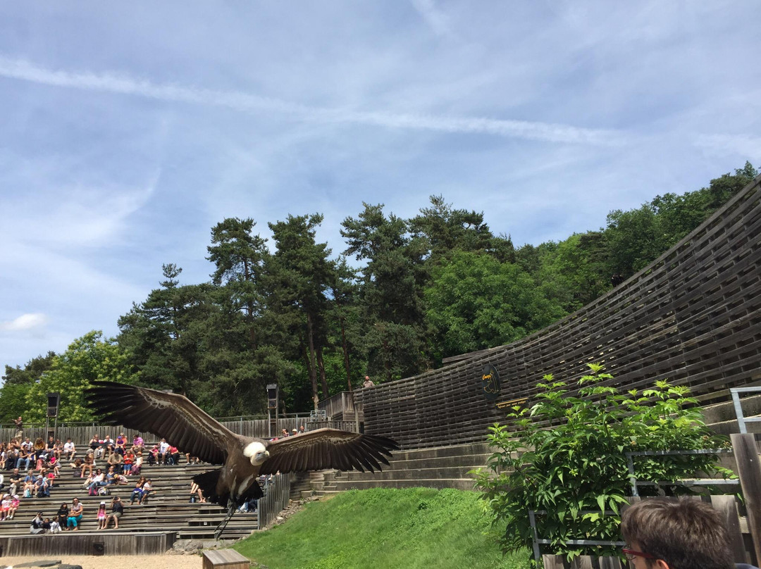 Courzieu旅游攻略图片