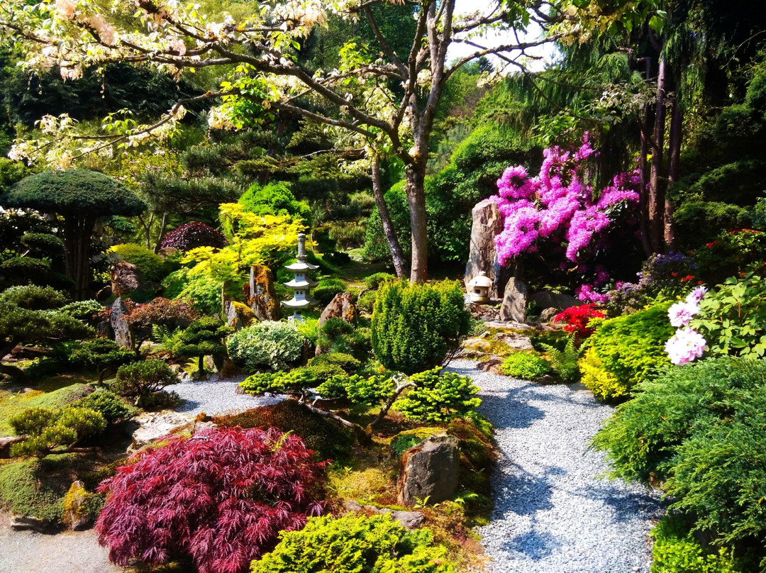 Japanese Garden