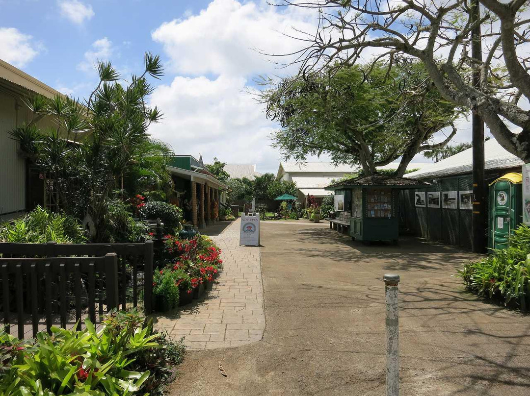 Kong Lung Trading-基拉韦厄必去景点