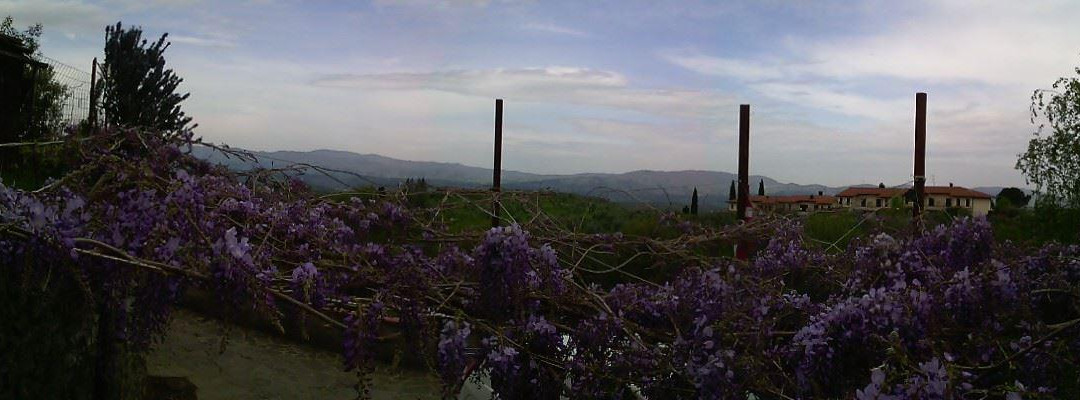 Il Maraviglio B&B主图