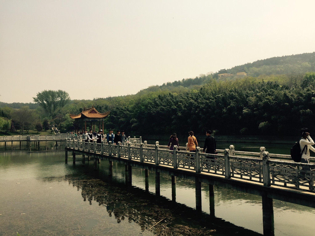 上窑森林公园-淮南市必去景点