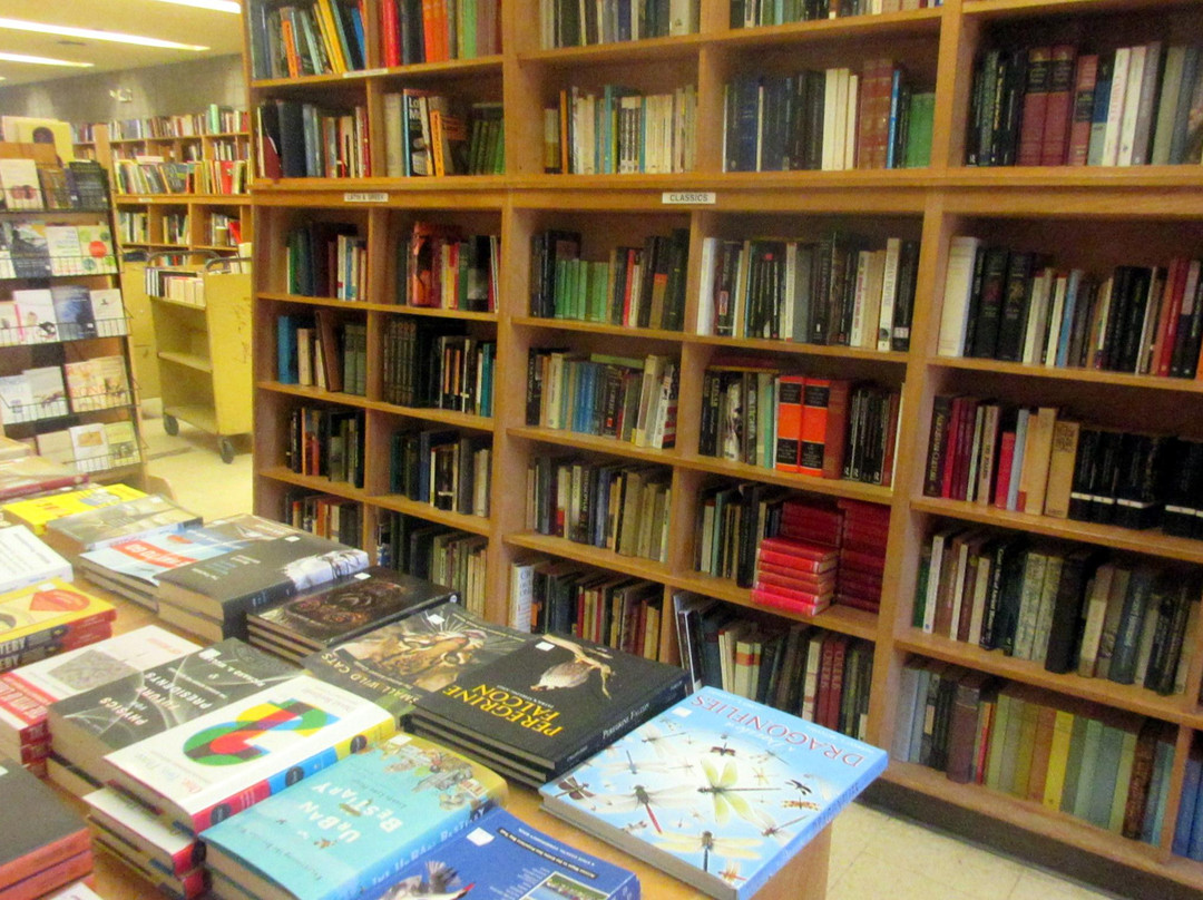 Moe's Books-伯克利必去景点