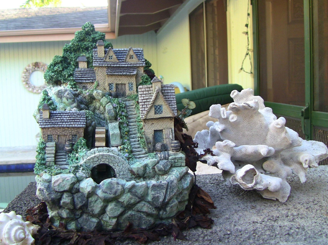 哈陆亚洛亚酒店住宿-Kona Hawaii Guesthouse