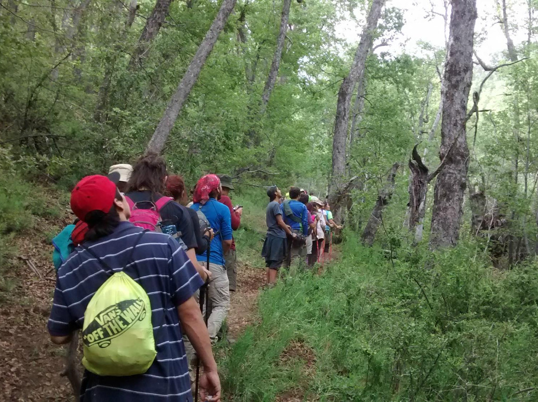 Chile Inexplorado Expediciones - Day Tour-圣地亚哥必去景点