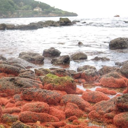 Christmas Island National Park-圣诞岛必去景点