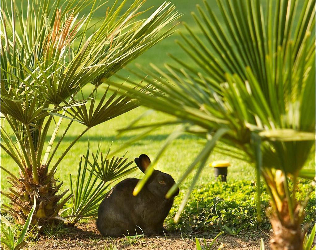 Reitz酒店住宿-Siesta Guesthouse & Wedding Venue