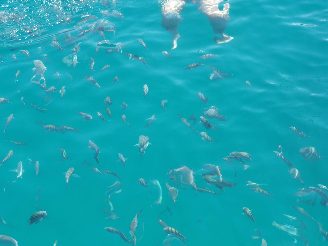 Ilha Comprida-帕拉地必去景点