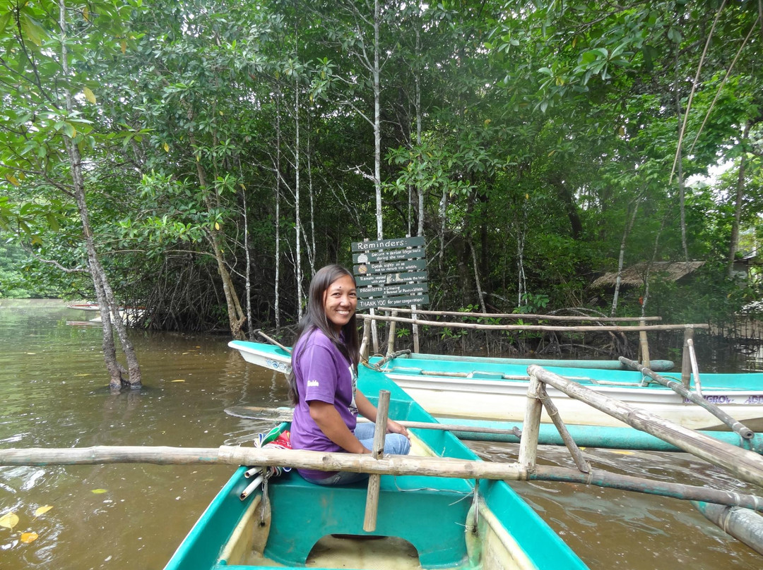 Mangrove River景点图片