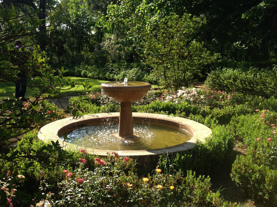 Lyon's Bar-San Fernando必去景点