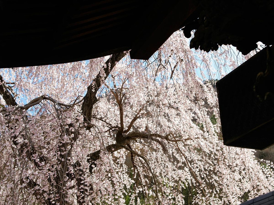 Anzu no Sato Tourist Center-千曲市必去景点