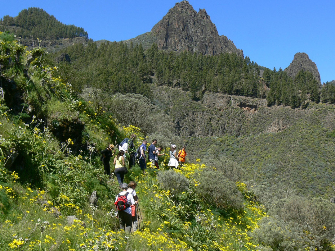 Walk In Gran Canaria - Day Tour景点图片