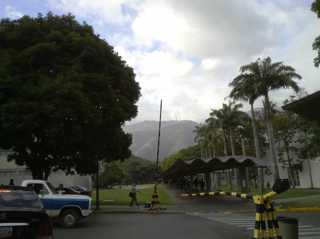 加拉加斯大学城-加拉加斯必去景点