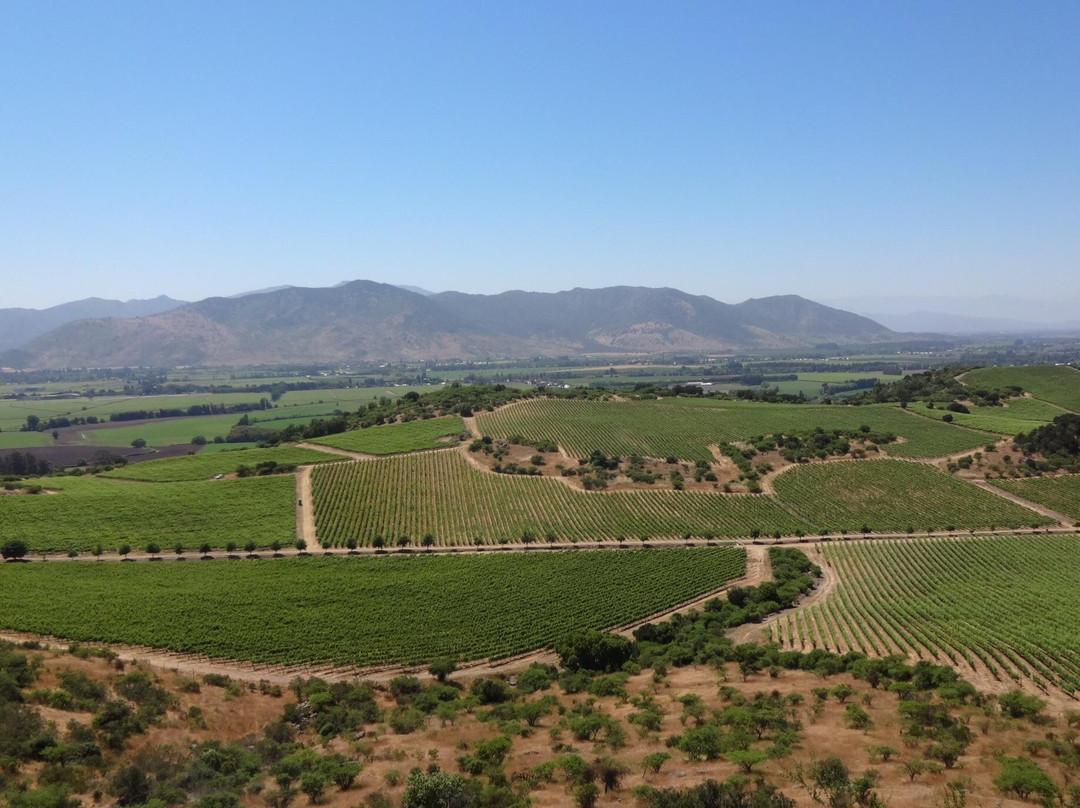 Natural Wine Tours-Palmilla必去景点