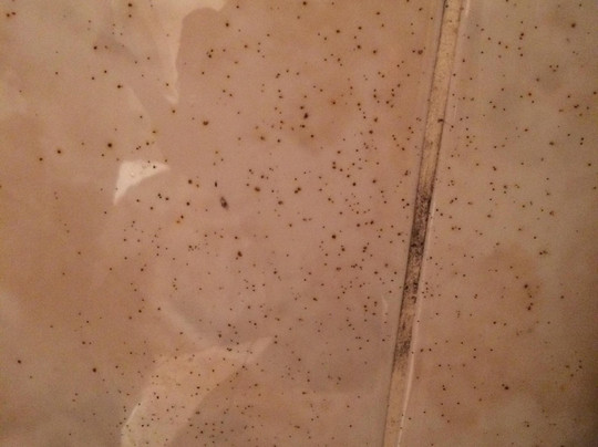 阿尼耶尔香园酒店