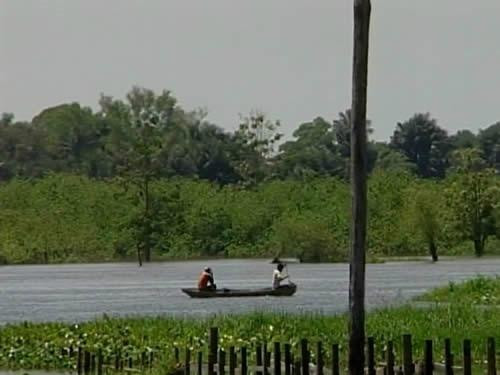 Maica Lake-Santarem必去景点