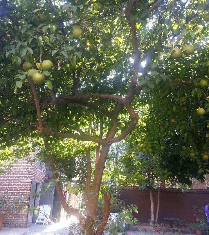 赫曼-革利马居所-新奥尔良必去景点