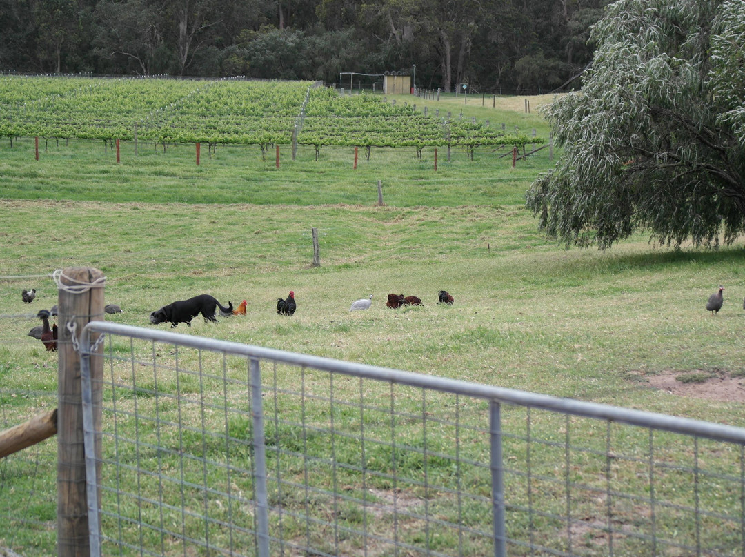Bonking Frog Wines-Boyanup必去景点