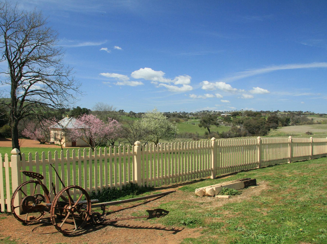 Cooma Cottage-亚斯必去景点