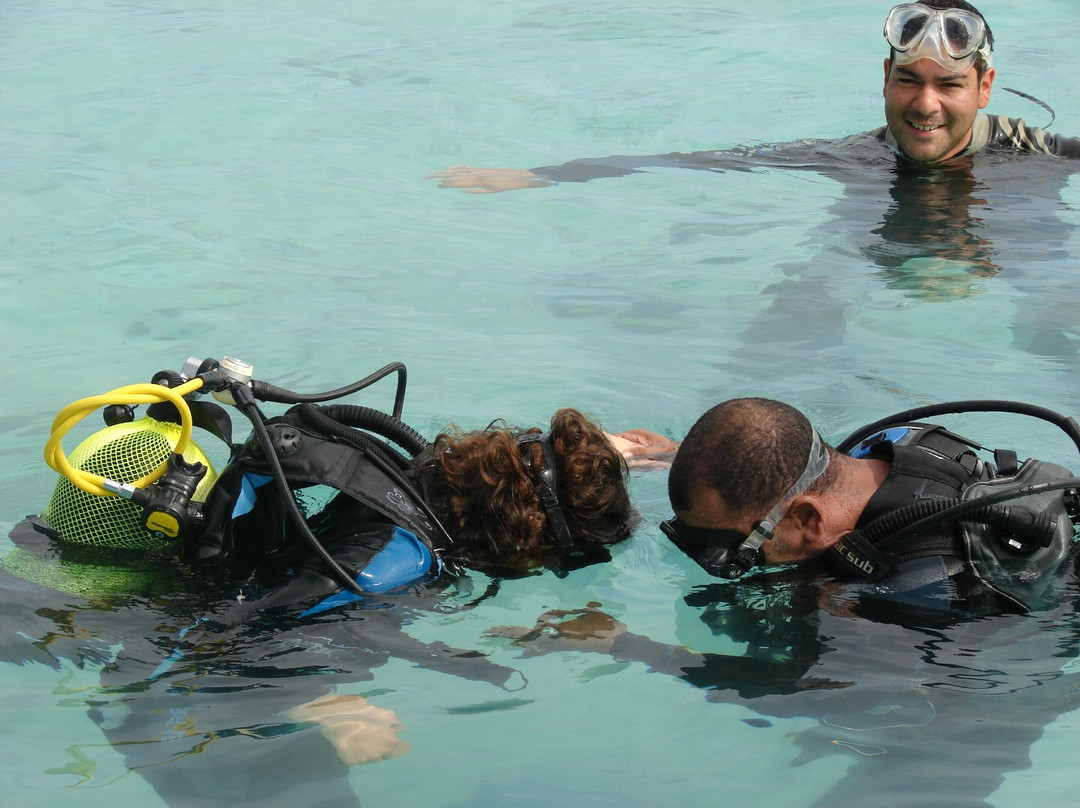 Captain Mimi's Diving Centre景点图片