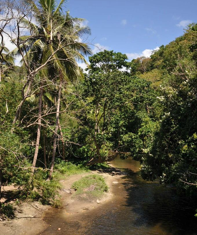 Olanguan Falls-巴拉望岛必去景点