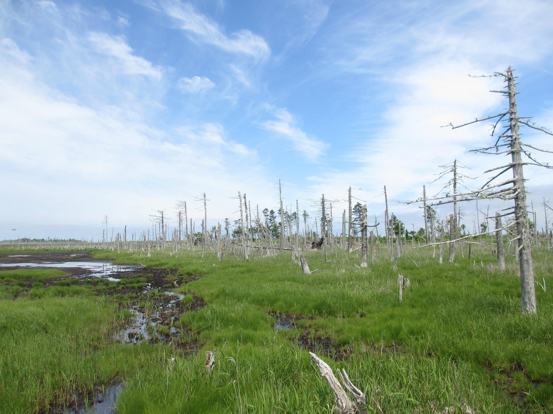 根室市春国岱原生野岛公园-根室市必去景点