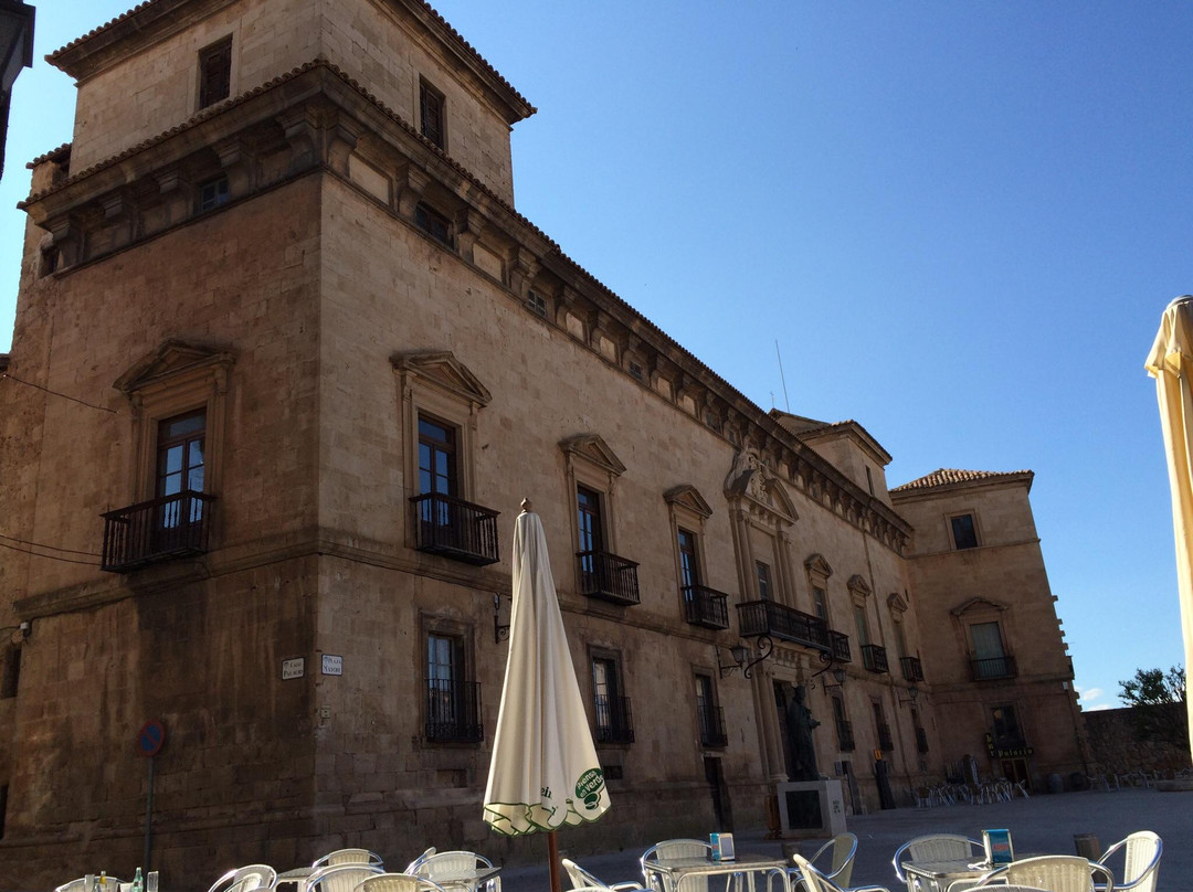 Palacio de los Hurtado de Mendoza景点图片