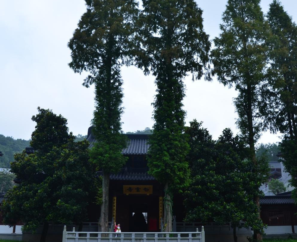 丽水莲都白云山景点图片