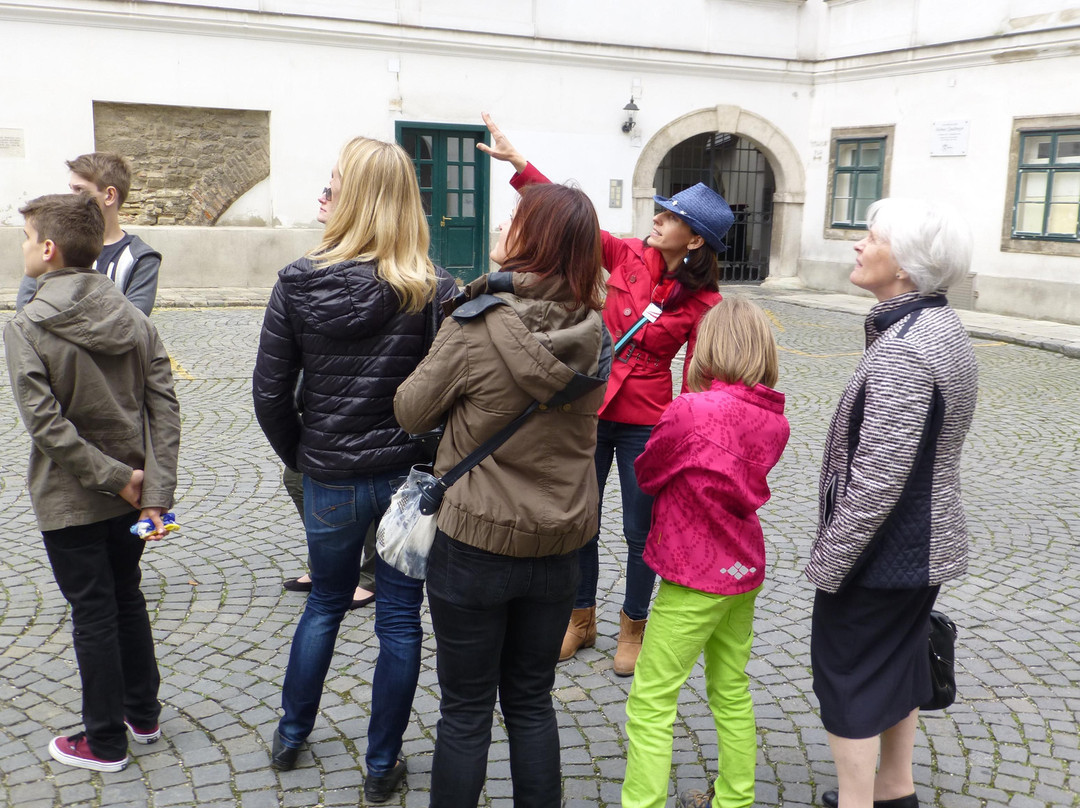 Führungen Wien  Tours景点图片