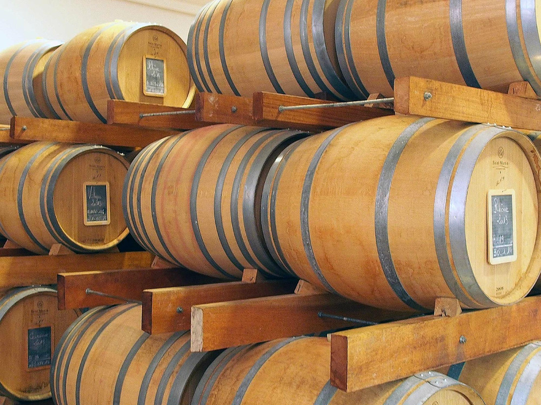 Mas du Clos de l'Escarrat  Wine Tasting Tours景点图片
