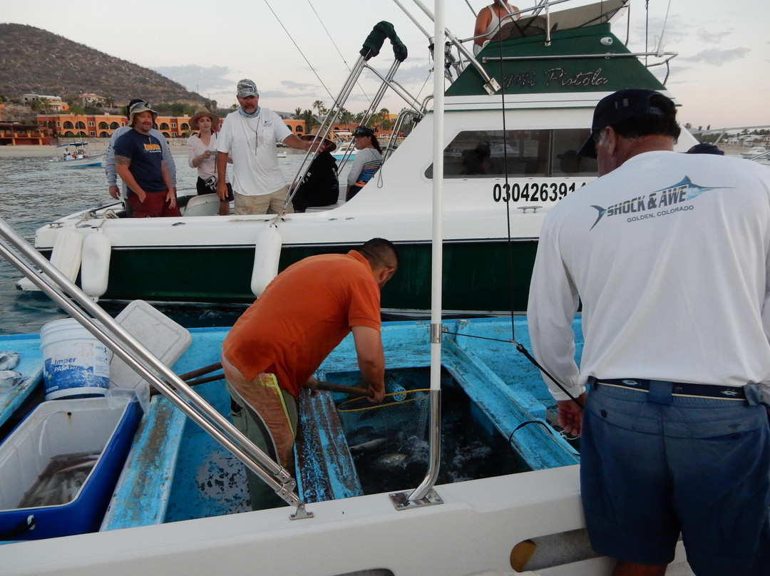 Martin Verdugo's Beach Resort主图