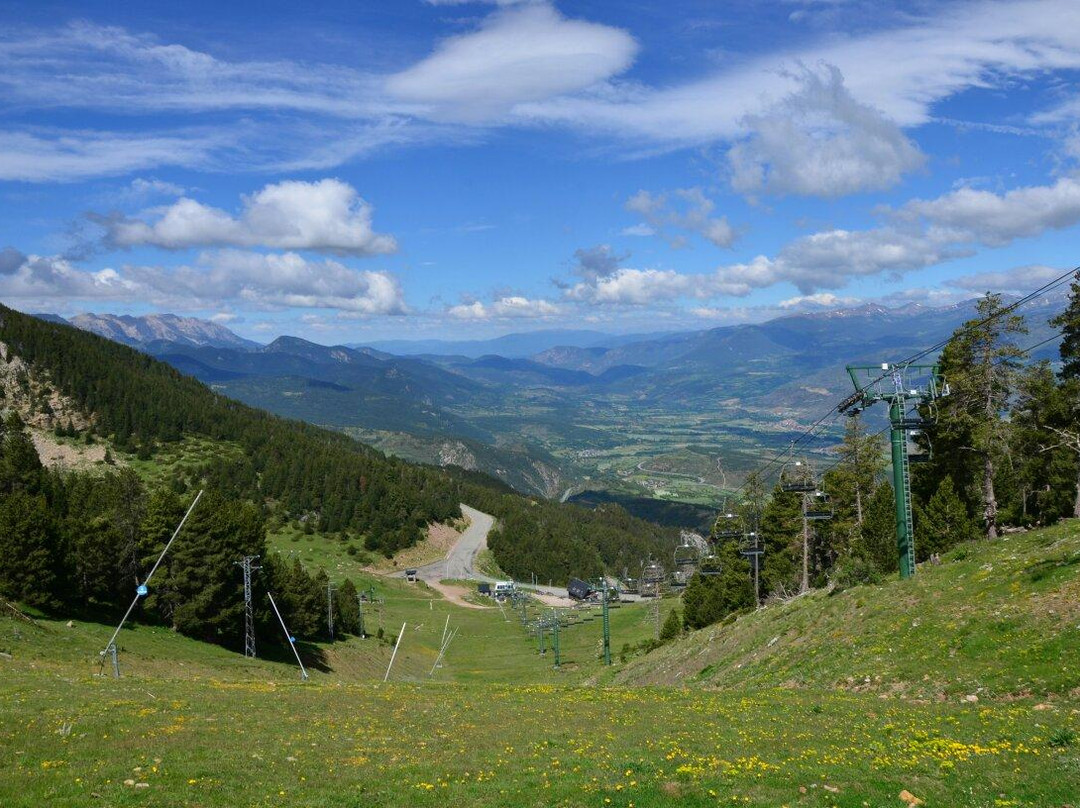 Alp旅游攻略图片