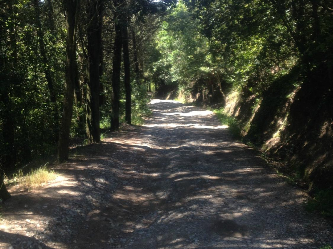 Eremo di Santa Maria alla Sambuca景点图片