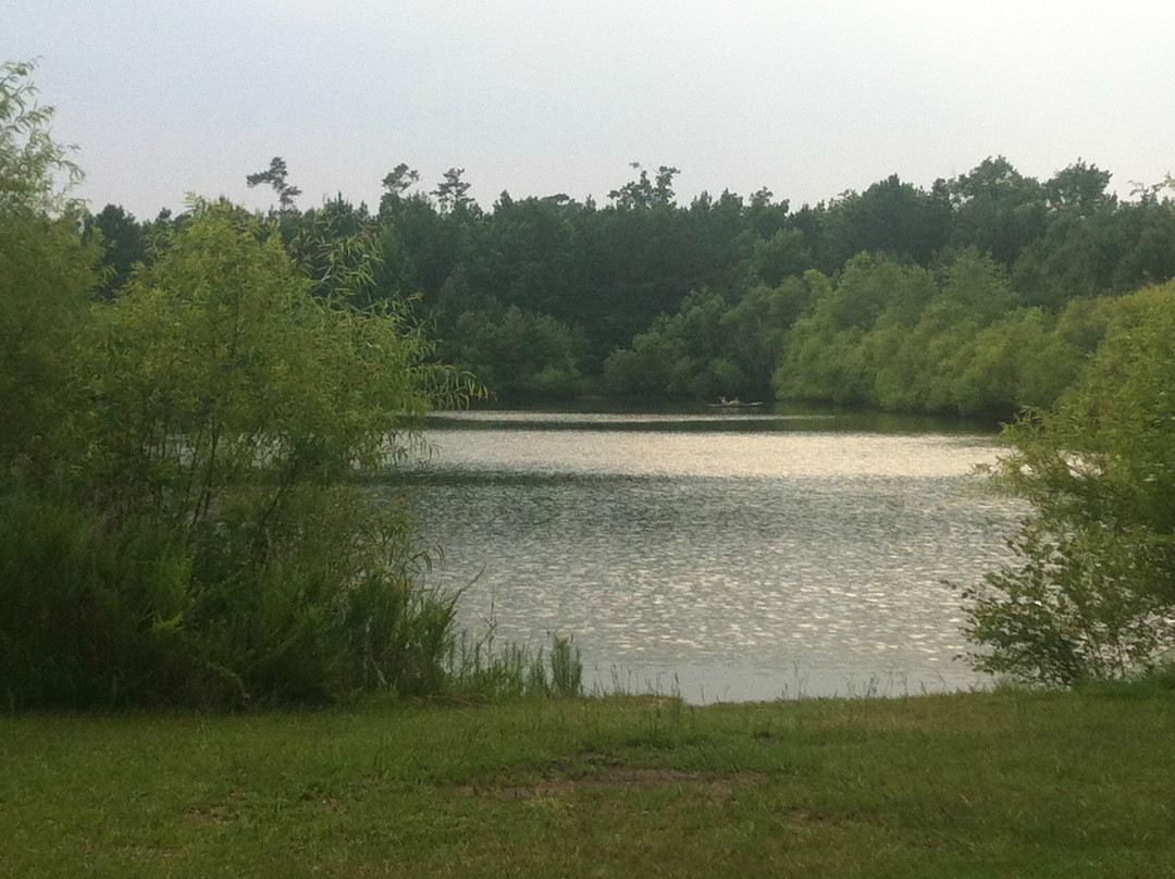 South Tar River Greenway景点图片
