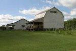 Izzo's White Barn Winery景点图片