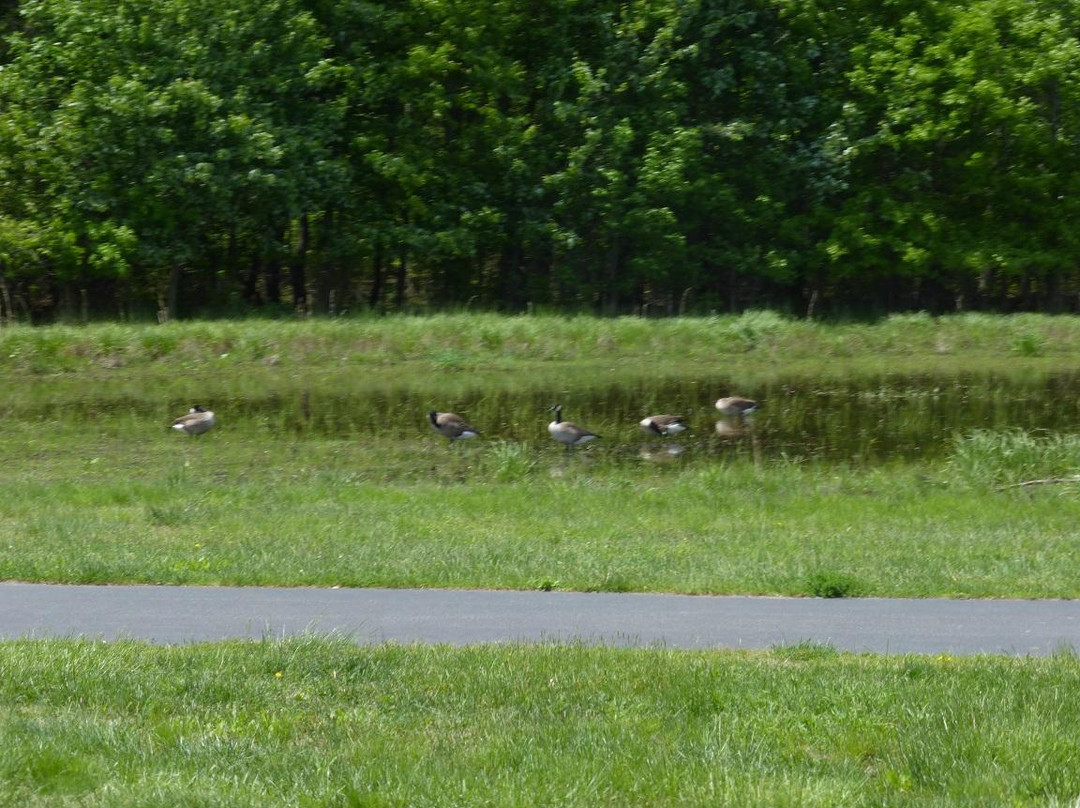 Glasgow Park-纽瓦克必去景点