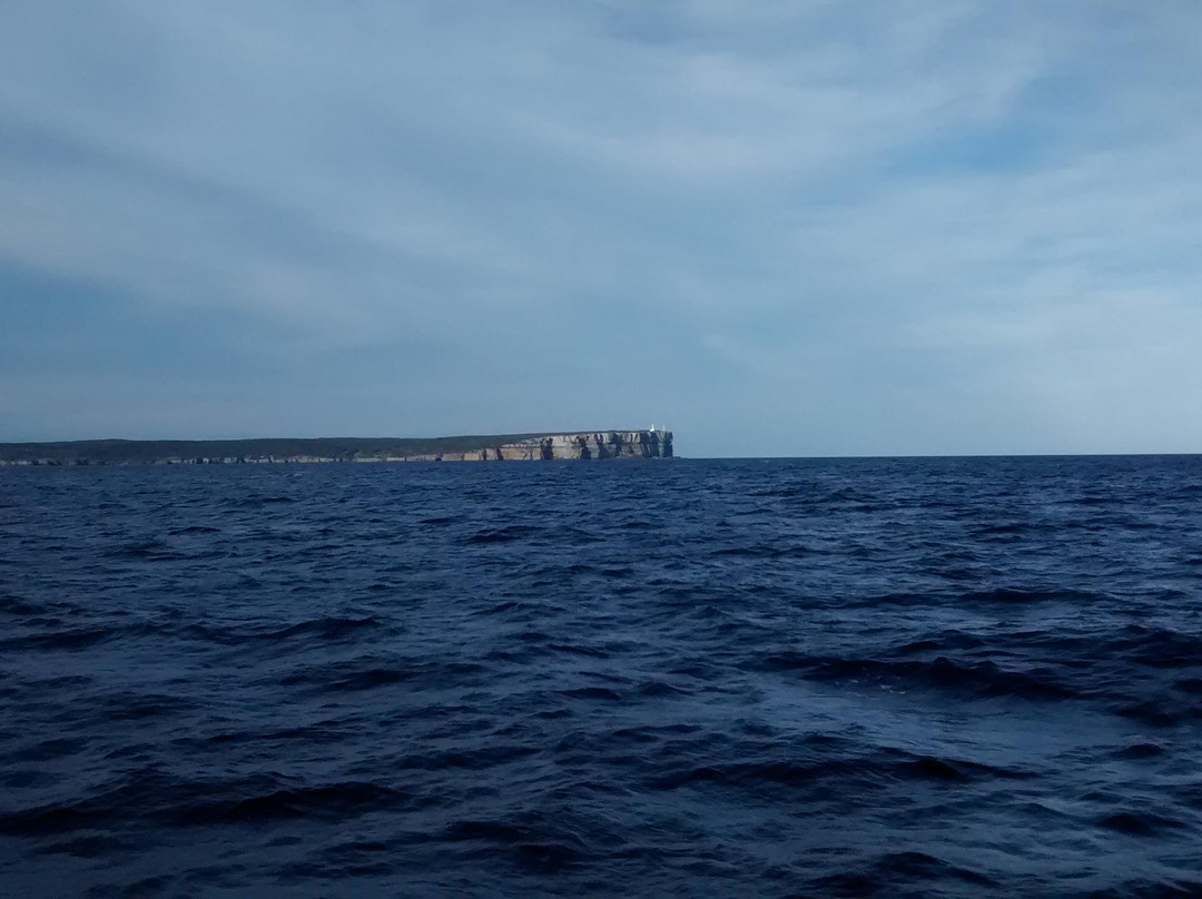 杰维斯湾野生巡航-赫斯基森必去景点