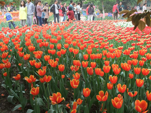 西安植物园-西安市必去景点