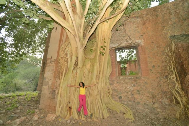 Batopilas Canyon-科波坎农必去景点