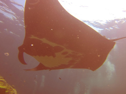 GoDive浮潜-兰塔岛必去景点