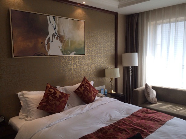 太原潞安戴斯酒店-客卧