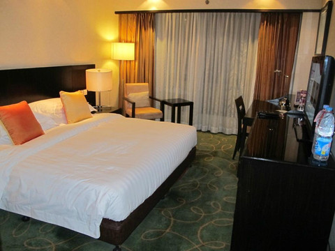 国际艺苑大酒店主图